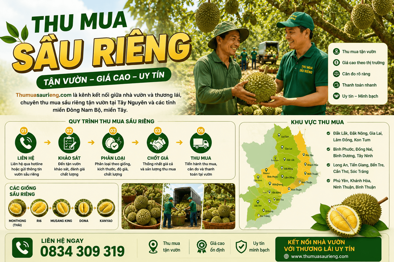 Thu mua sầu riêng tận vườn giá cao2026